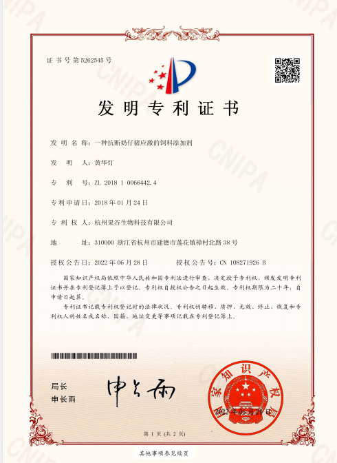 发明专利证书
